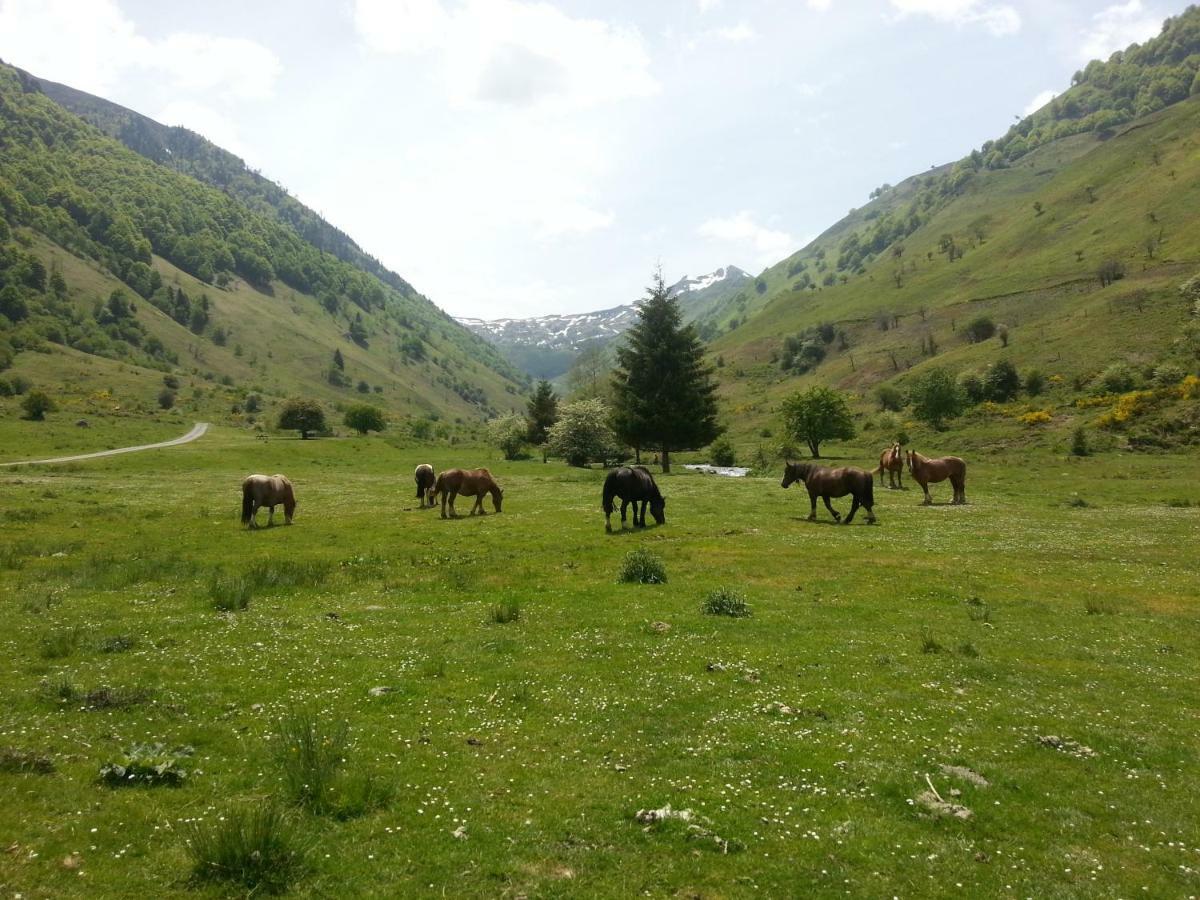 Gite De Montagne Du Plateau De Lhers- Accueil Randonneurs Accous Exterior foto