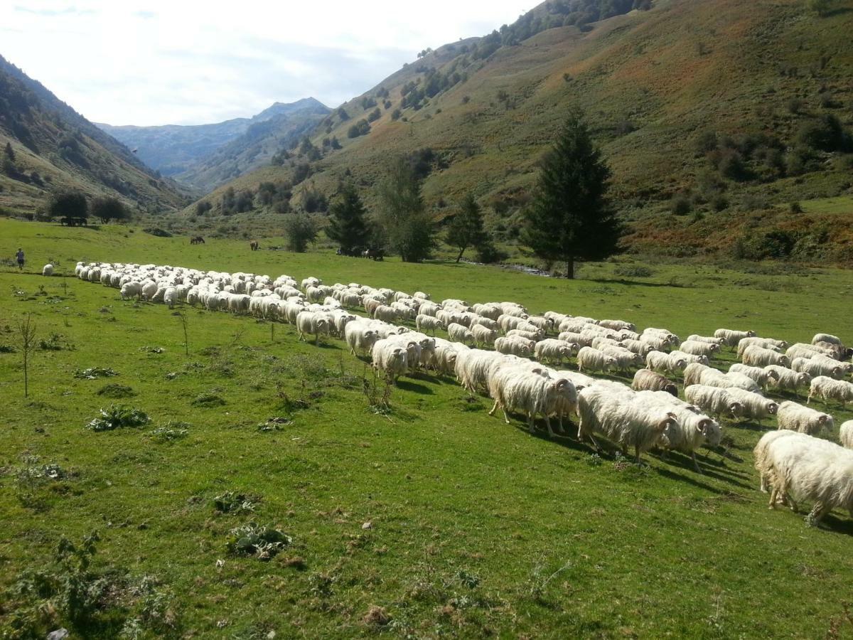 Gite De Montagne Du Plateau De Lhers- Accueil Randonneurs Accous Exterior foto